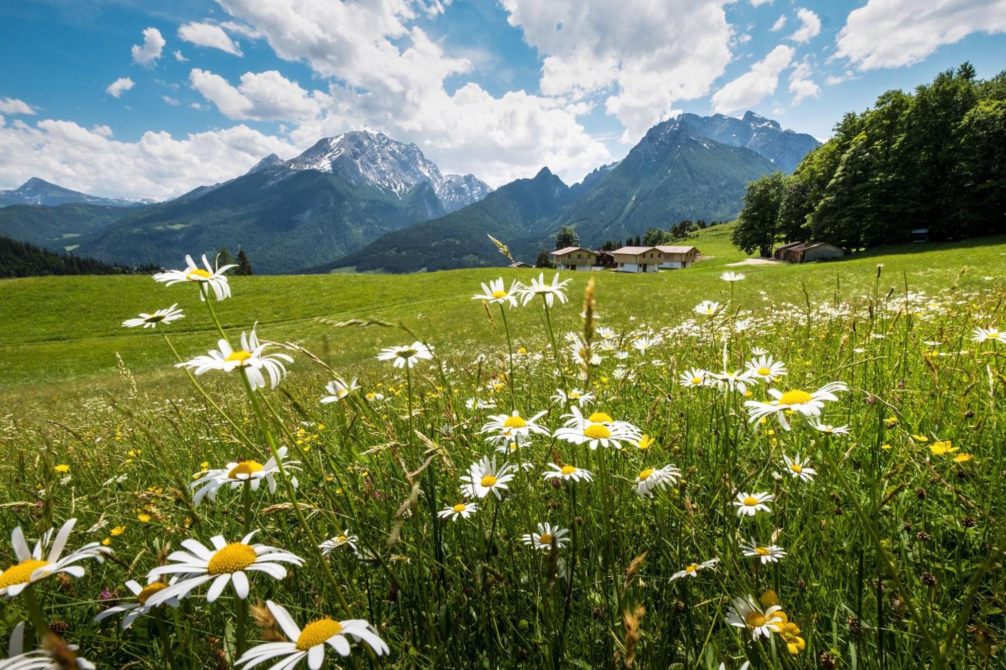 Ettlerlehen Chalets Ramsau bei Berchtesgaden Eksteriør bilde